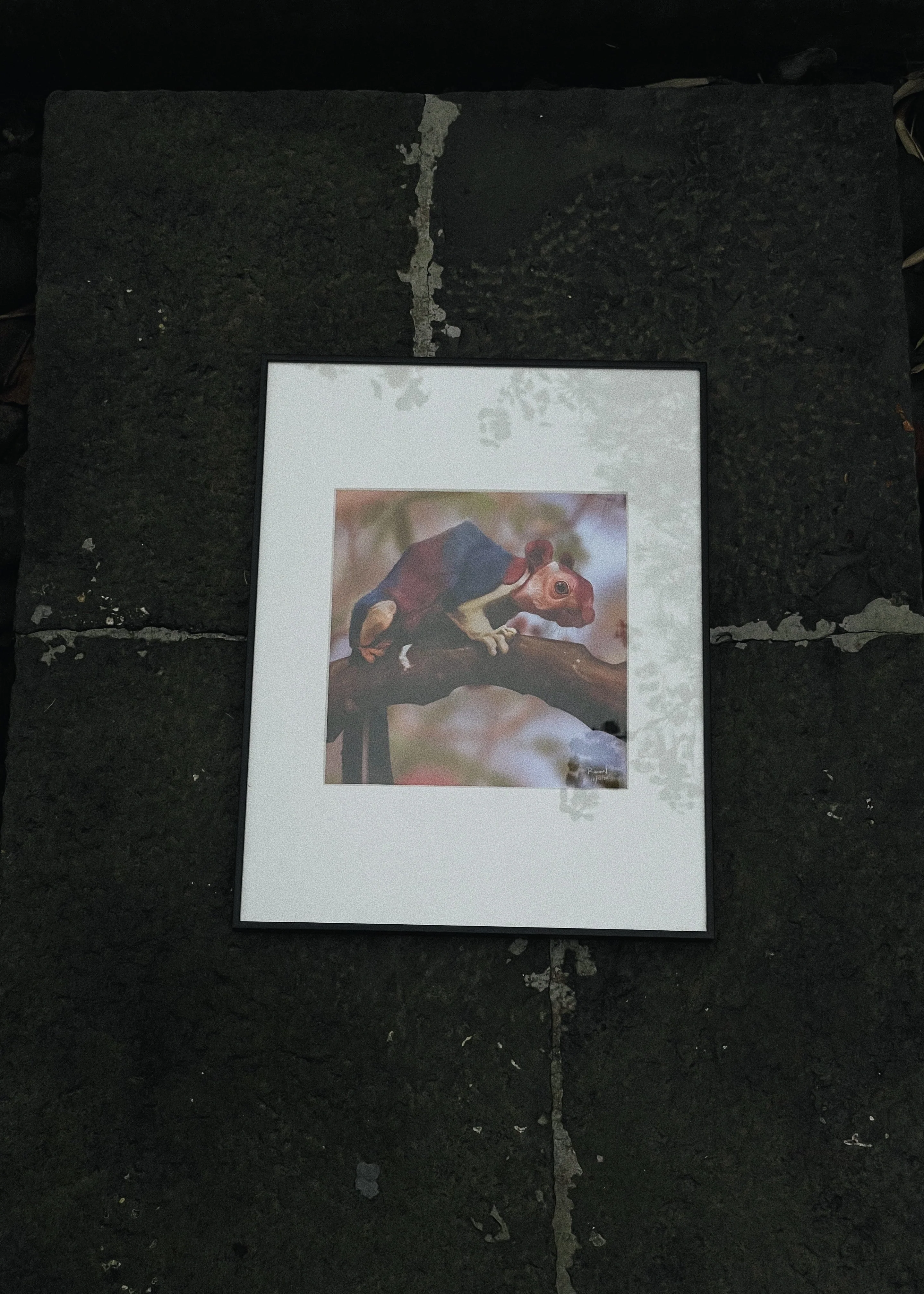 products.gallery.thumbnail_alt