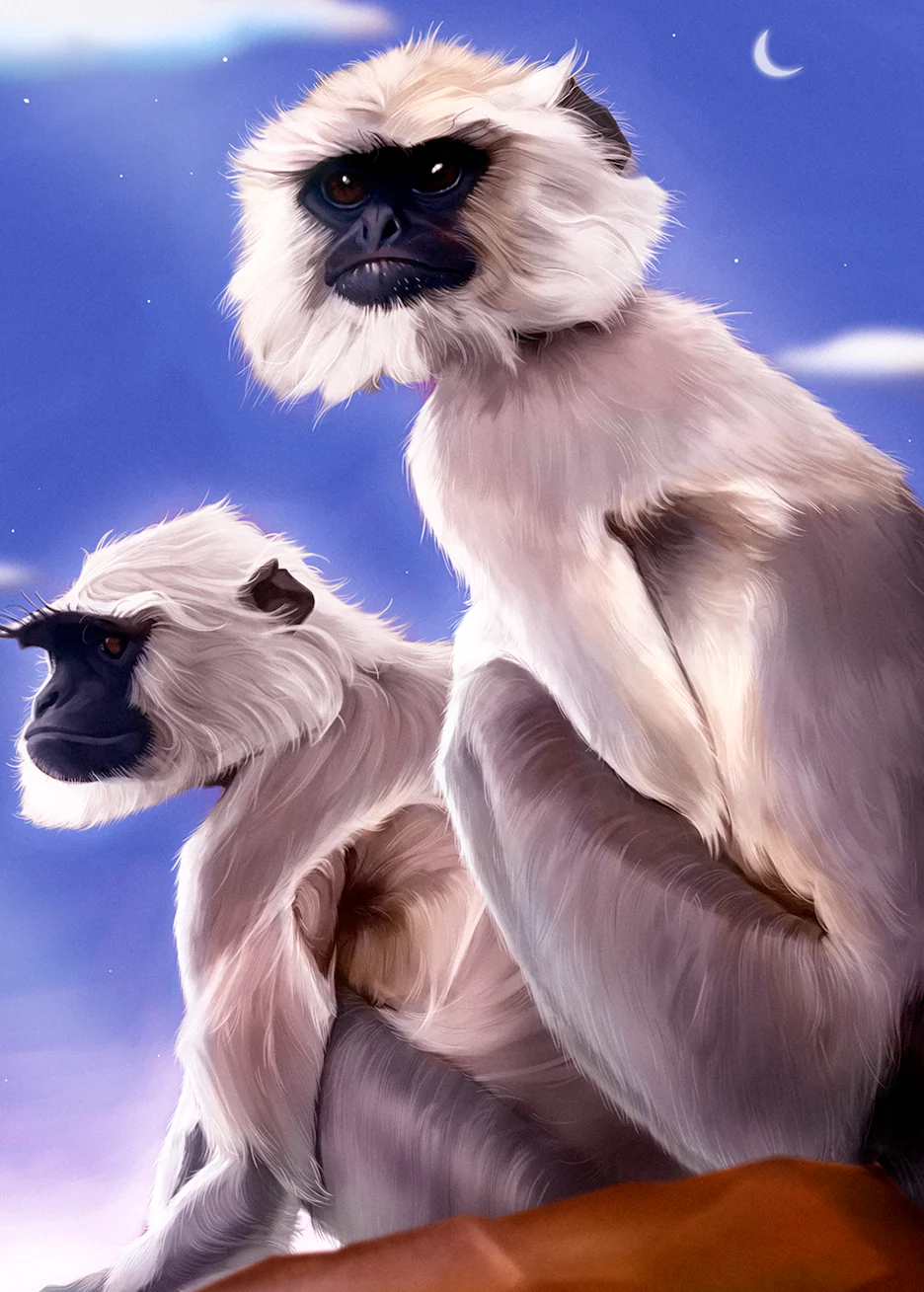 products.gallery.thumbnail_alt