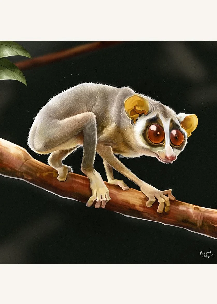 products.gallery.thumbnail_alt